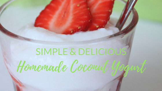 How to make Raw Coconut Yogurt + Benefits of Fermented Foods & Coconuts - Annaliisa Kapp
