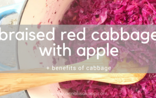 braised red cabbage with apple