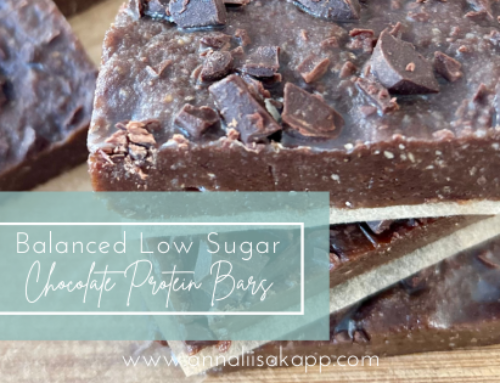 Balanced Chocolate Protein Bar Recipe